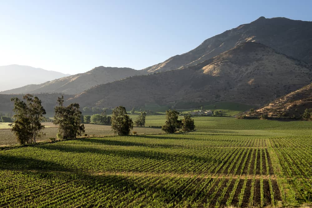 Maipo Valley